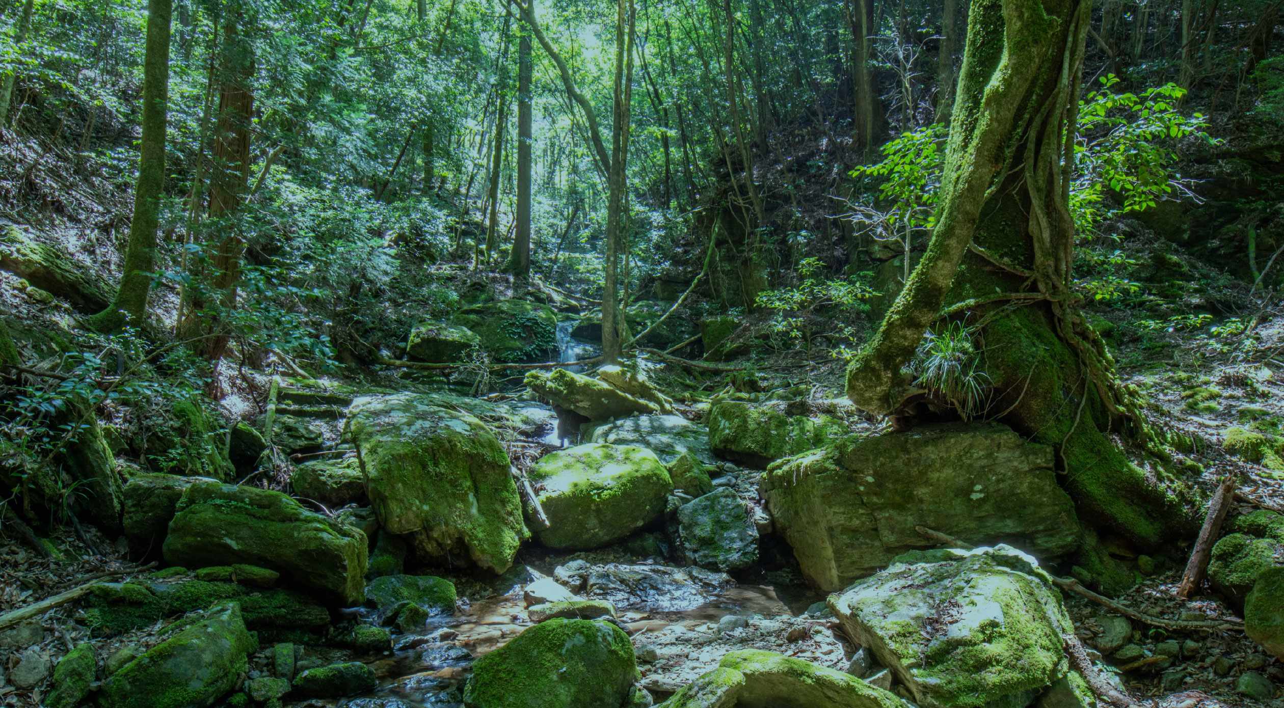 地域とともに未来を築く。